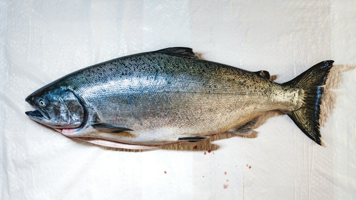 Zalm - rijke bron van vitamine D en omega-3
